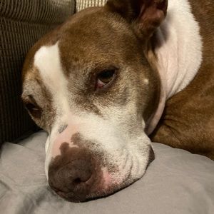 Meet your Posher, Adam